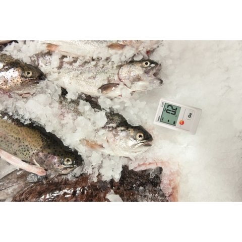 Цифровий USB-реєстратор testo 174Т Прев'ю 6